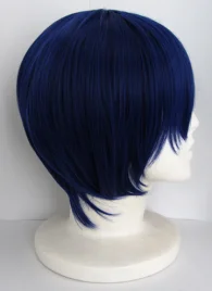 Vocaloid Kaito Cosplay Wig