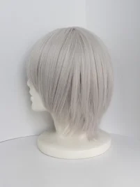 Inu x Boku SS Soshi Miketsukami Cosplay Wig