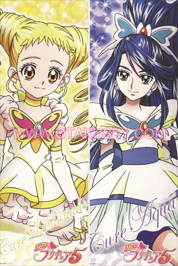 Pretty Cure Anime Girls Body Pillow Case 16 - Click Image to Close