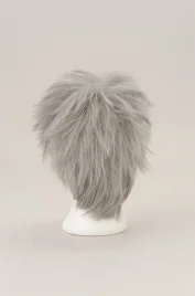 Starry Sky Kazuki Shiranui Cosplay Wig