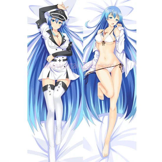 Akame ga Kill Dakimakura Esdeath Body Pillow Case 03 - Click Image to Close