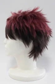 Kuroko's Basketball Kagami Taiga Cosplay Wig