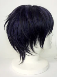 Hakuouki Hajime Saito Cosplay Wig 02