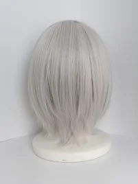 Inu x Boku SS Soshi Miketsukami Cosplay Wig