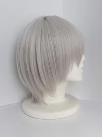 Inu x Boku SS Soshi Miketsukami Cosplay Wig