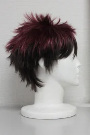Kuroko's Basketball Kagami Taiga Cosplay Wig
