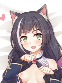 Princess Connect Re:Dive Dakimakura Kyaru Body Pillow Case 10
