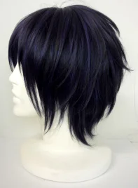 Hakuouki Hajime Saito Cosplay Wig 02