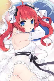 Azur Lane Dakimakura San Diego Body Pillow Case 02