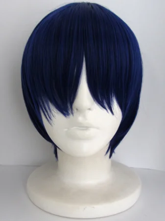 Vocaloid Kaito Cosplay Wig