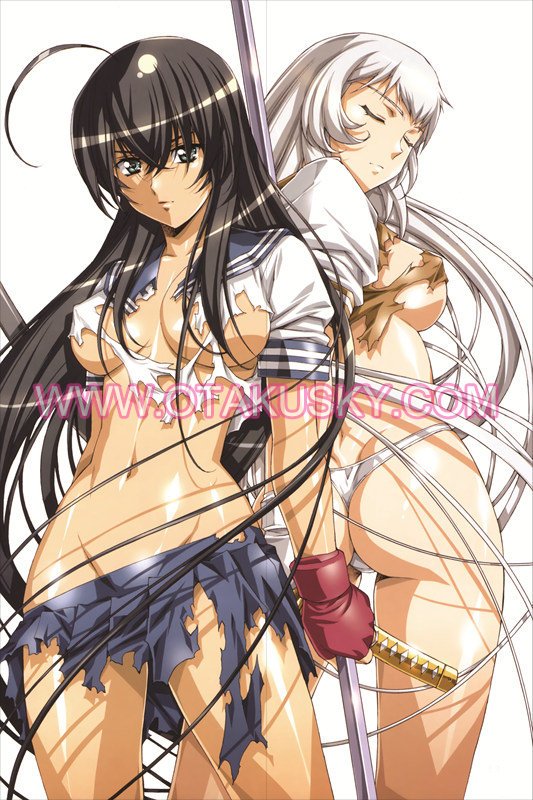 Battle Vixens Shiryuu Chouun Body Pillow Case 03