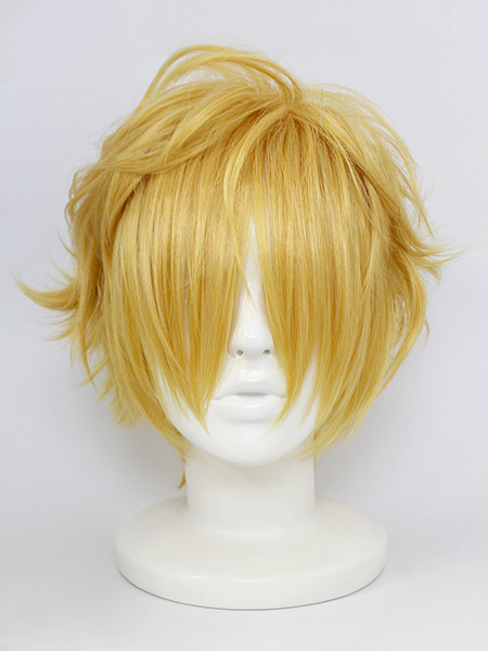 Karneval Yogi Cosplay Wig